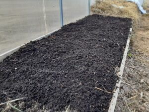 Komposti lisamine aeda