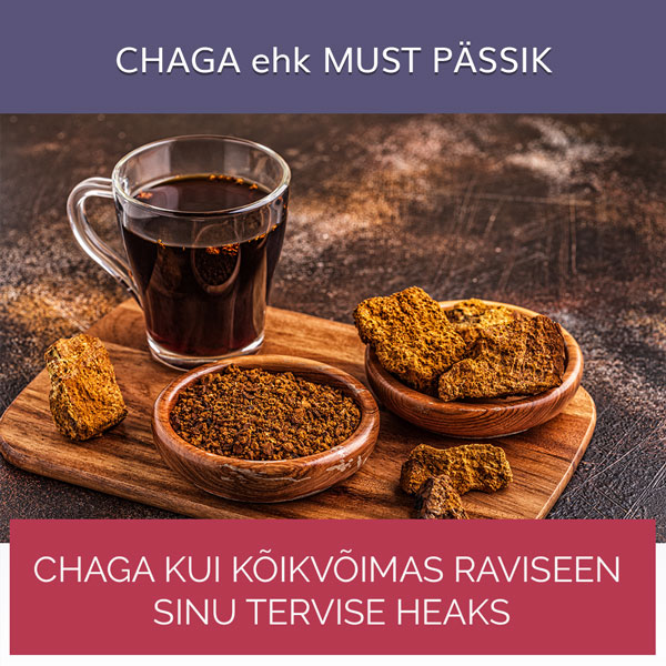 chaga ehk must pässik